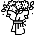 bodaximeyruben
